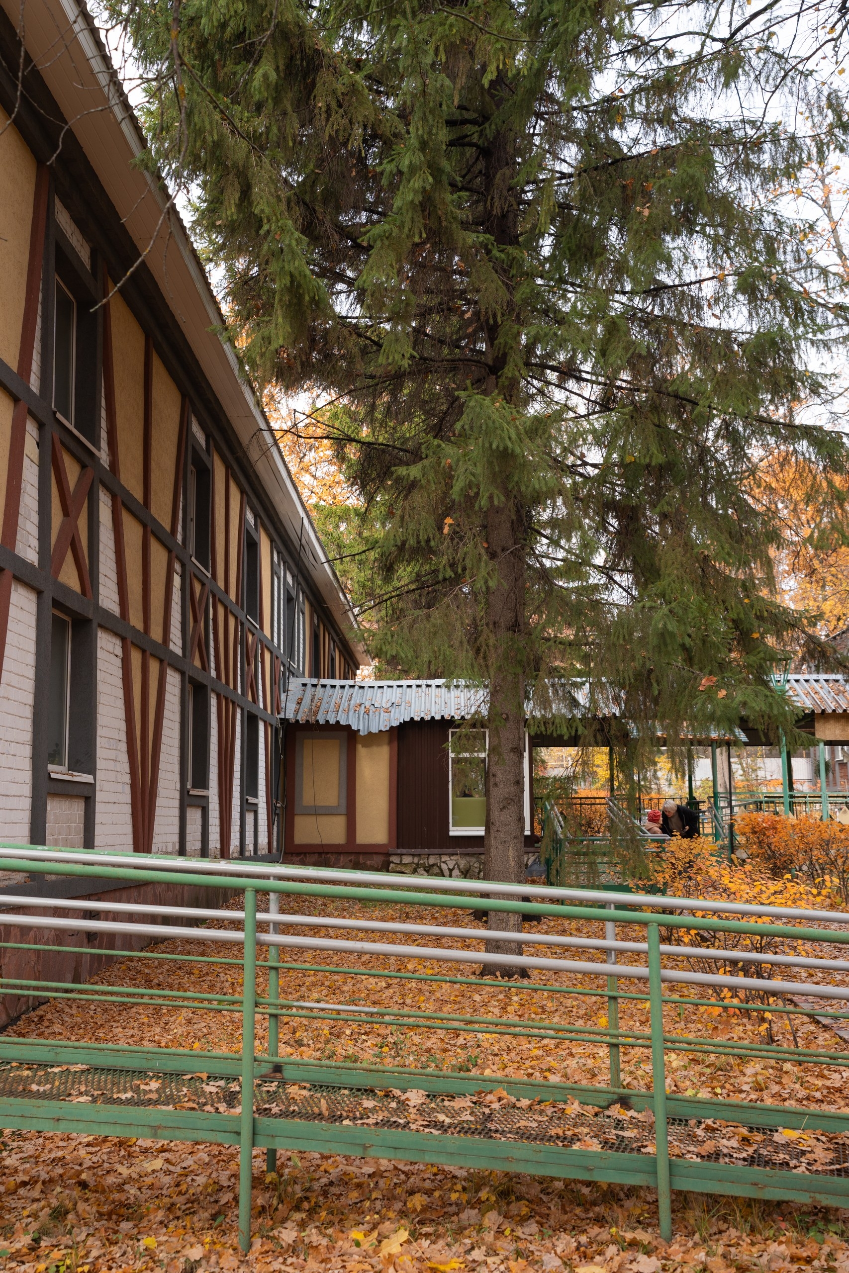 Здесь нет слова «невозможно» — есть слово «удобно»! ✨ Забудьте о барьерах! В нашем пансионате мы создали пространство, где пожилой человек с…