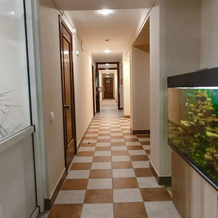 Фотографии наших счастливых постояльцев и не только 